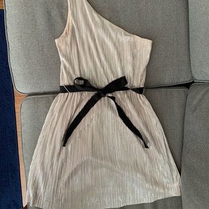 Express Silver One Shoulder Dress